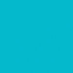 Weirdest international fast food menu items