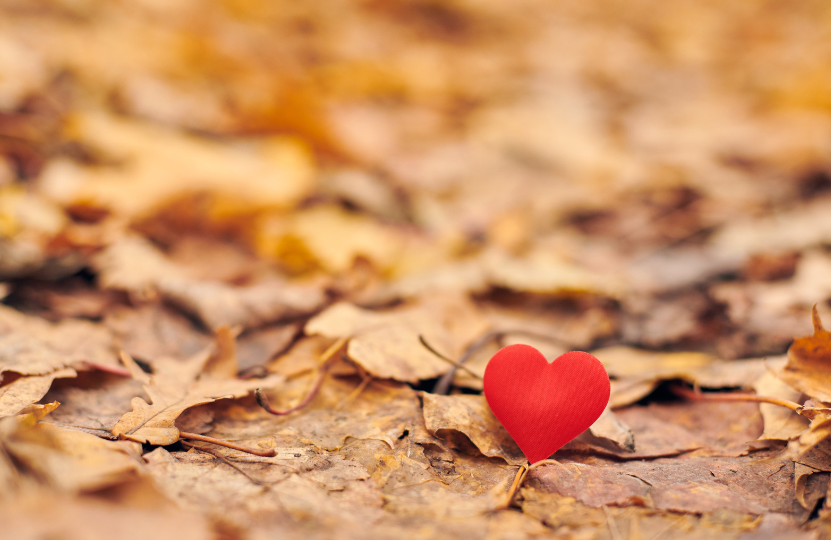 An image of dried up leaves representing the colder month that valentines is celebrated in in the UK. There is a small red heart amongst it as though it has just been found there.